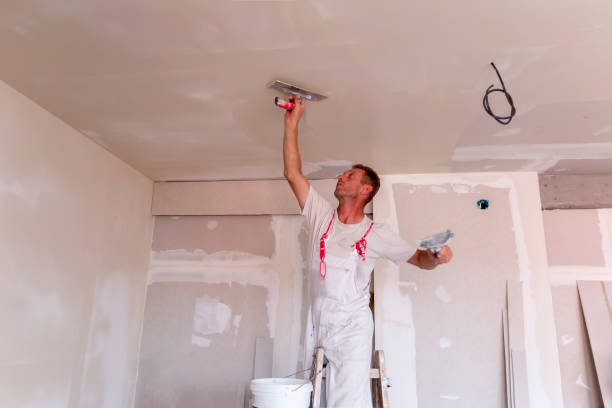 Best Acoustic or Soundproof Drywall Installation  in Three Lakes, FL